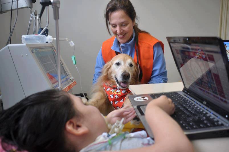 Paciente Terapia Cão Carinho