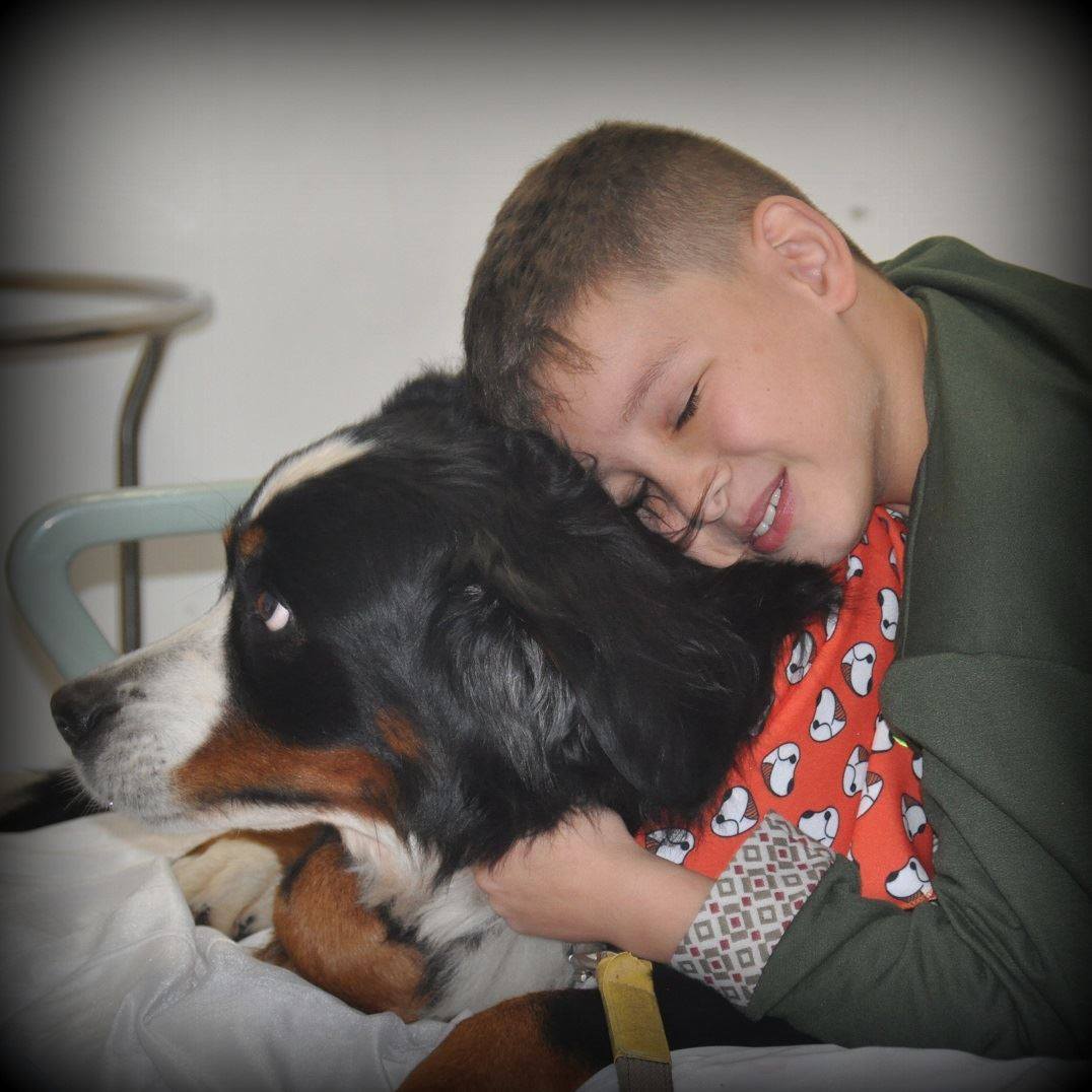 Paciente Terapia Cão Carinho